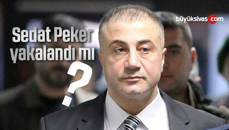 sedat peker