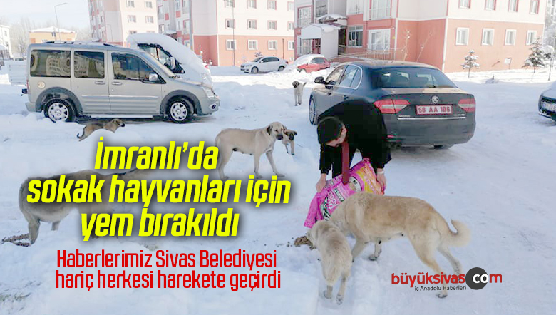 İmranlı’da sokak hayvanları için yem bırakıldı