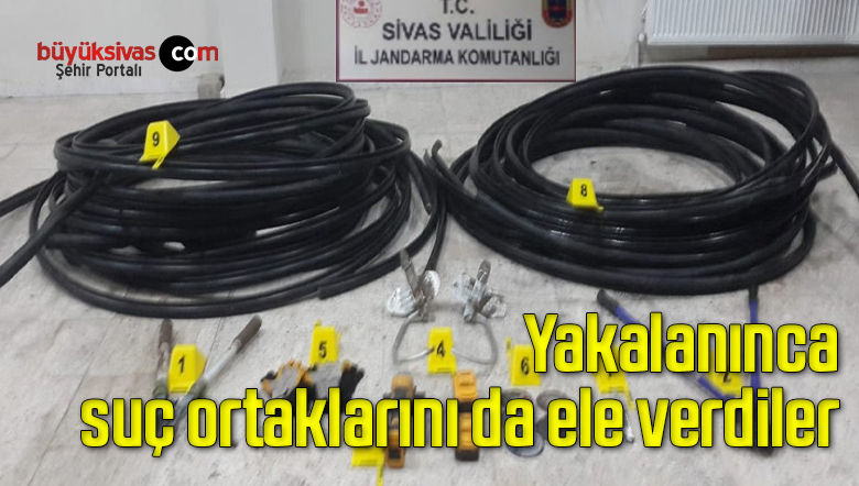 Yakalanınca suç ortaklarını da ele verdiler