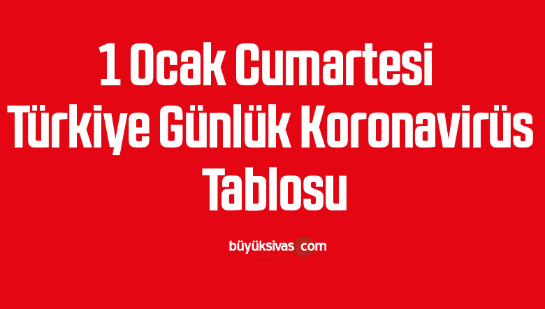 1 Ocak Cumartesi Türkiye Günlük Koronavirüs Tablosu