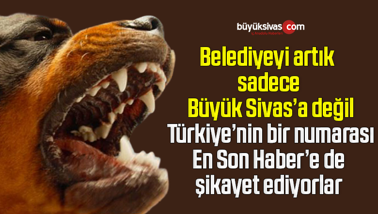 Görsel açıklaması bulunamadı