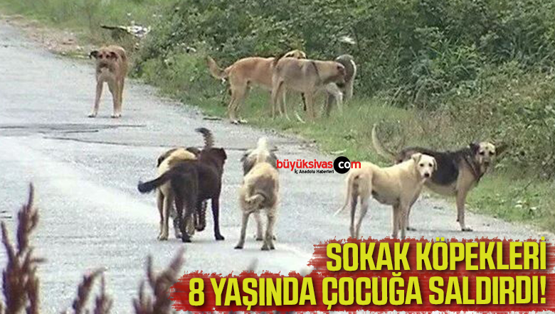 8 YAŞINDA ÇOCUĞA SALDIRDI