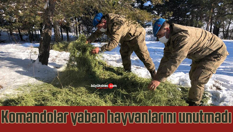 Komandolar kışın da yaban hayvanlarını unutmadı