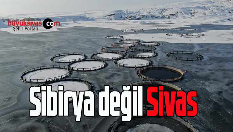 Sibirya değil Sivas