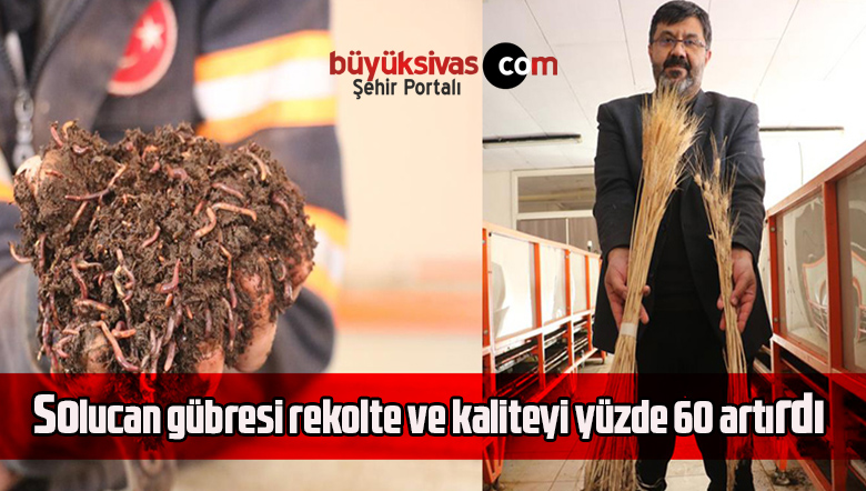 Solucan gübresi rekolte ve kaliteyi yüzde 60 artırdı