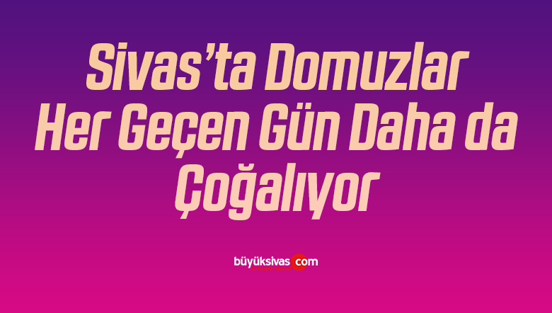 Domuzlar