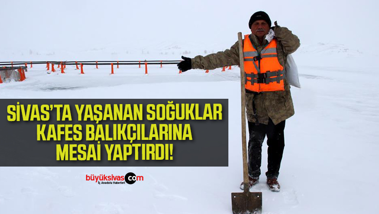 kafes balıkçıları