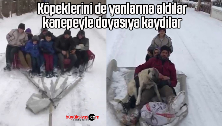Köpeklerini de yanlarına aldılar, kanepeyle doyasıya kaydılar