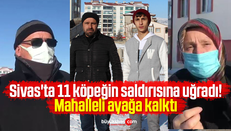 köpeğin saldırısına uğradı