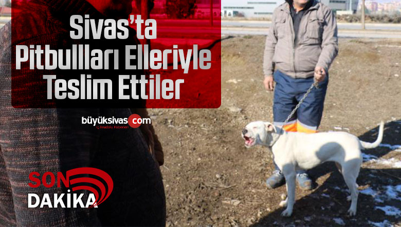 Sivas’ta yasaklı ırk köpeklerini kendi elleriyle teslim ettiler