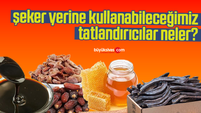 Şeker Yerine Kullanabileceğimiz Tatlandırıcılar!