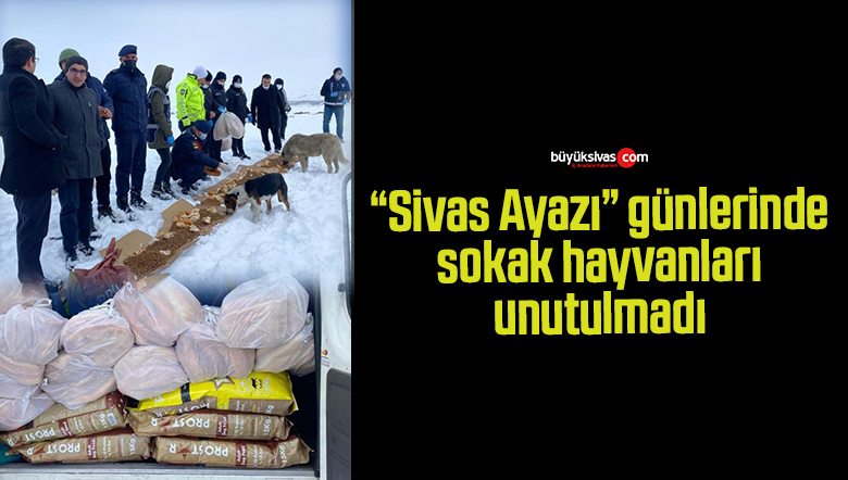 Dondurucu soğuklarda sokak hayvanları unutulmadı