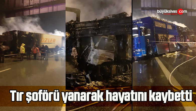 Tır şoförü yanarak hayatını kaybetti
