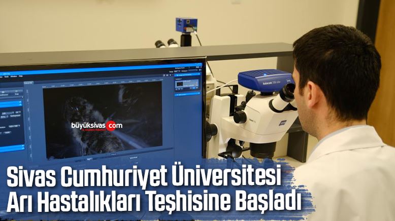 Sivas Cumhuriyet Üniversitesi arı hastalıkları teşhisine başladı