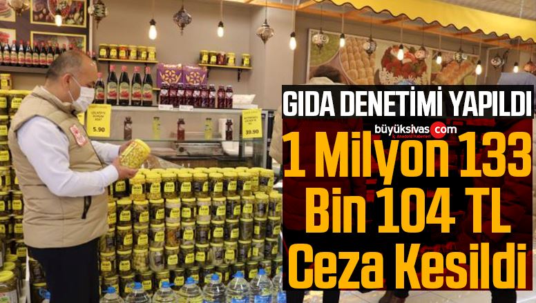 GIDA DENETİMİ