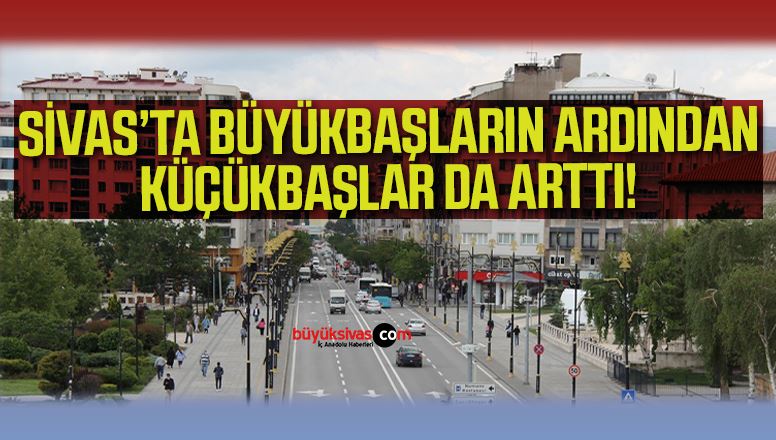 KÜÇÜKBAŞ SAYISI