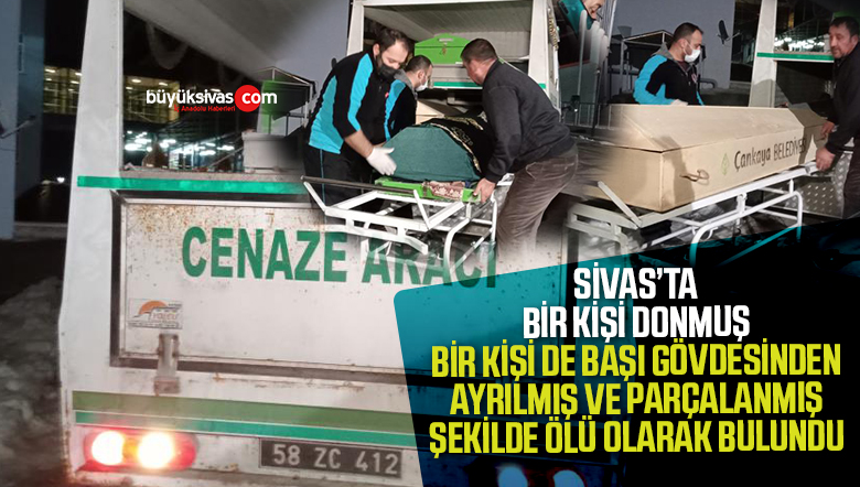 Sivas’ta parçalanmış ve donarak ölmüş iki kişinin cesedi bulundu