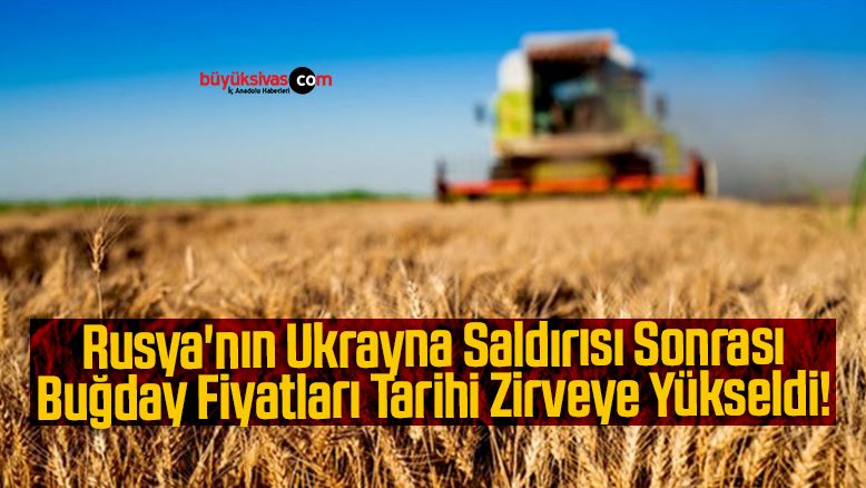 Rusya’nın Ukrayna Saldırısı Sonrası Buğday Fiyatları Tarihi Zirveye Yükseldi!