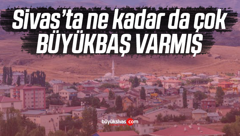 büyükbaş