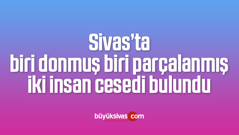 Sivas’ta biri donmuş, biri parçalanmış iki ceset bulundu