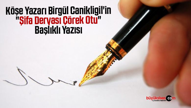 Köşe Yazarı Birgül Canikligil’in “Şifa Deryası Çörek Otu” Başlıklı Yazısı