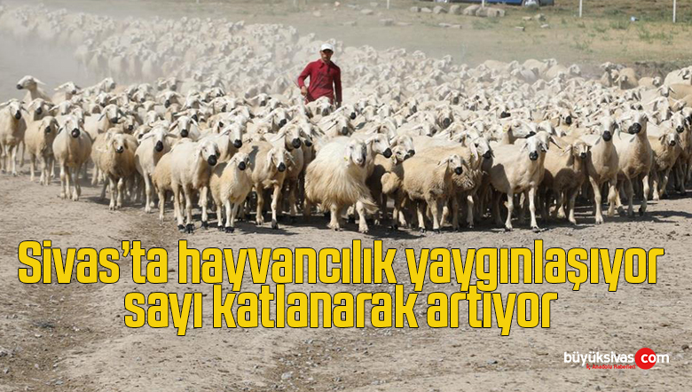 hayvan