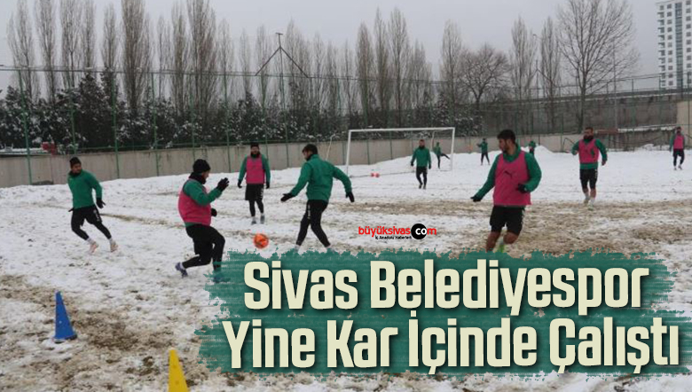 Sivas Belediyespor Yine Kar İçinde Çalıştı