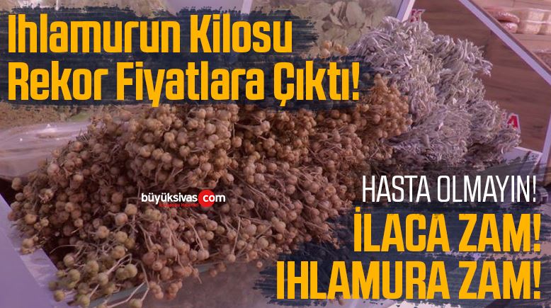 Ihlamurun Kilosu Rekor Fiyatlara Çıktı!