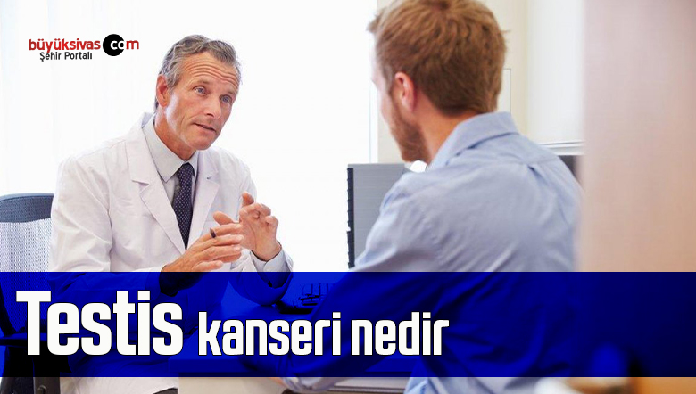 Testis kanseri nedir