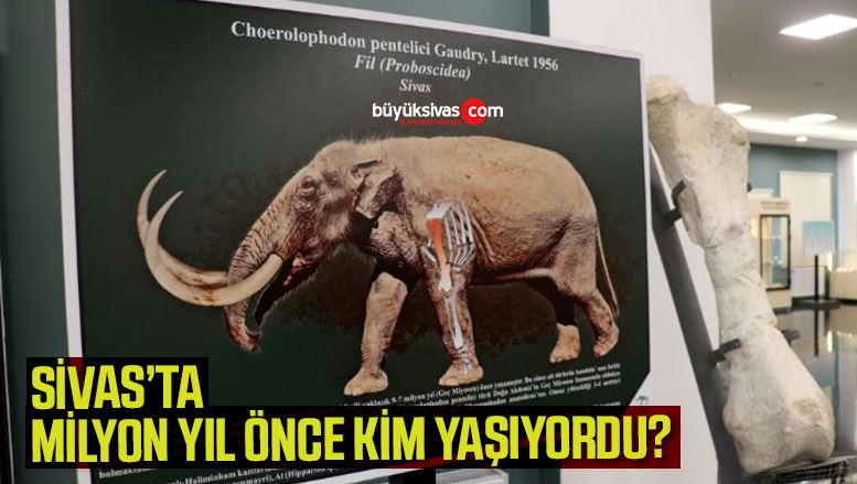 Milyonlarca yıl önce Sivas, Afrika savanlarına benziyordu