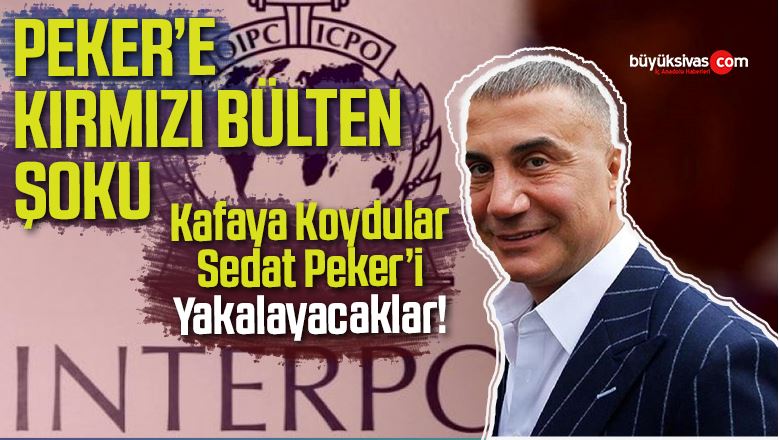 sedat peker