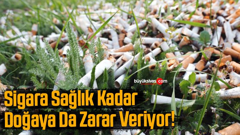 Sigara insan vücuduna verdiği kadar doğaya da zarar veriyor