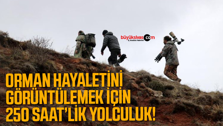 Ormanın hayaletini görüntülemek için 250 saatlerini harcadılar