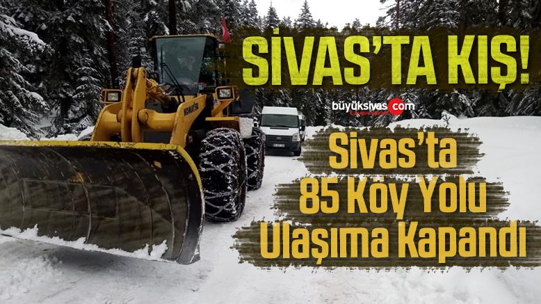 SİVAS'TA KIŞ