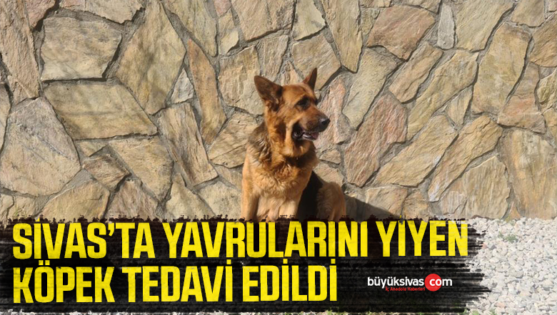 TEDAVİ EİDLDİ
