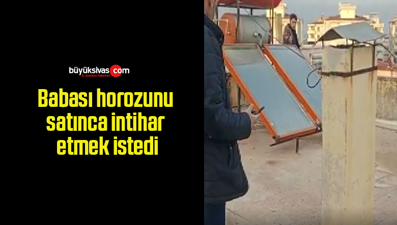 Babası horozunu satınca intihar etmek istedi