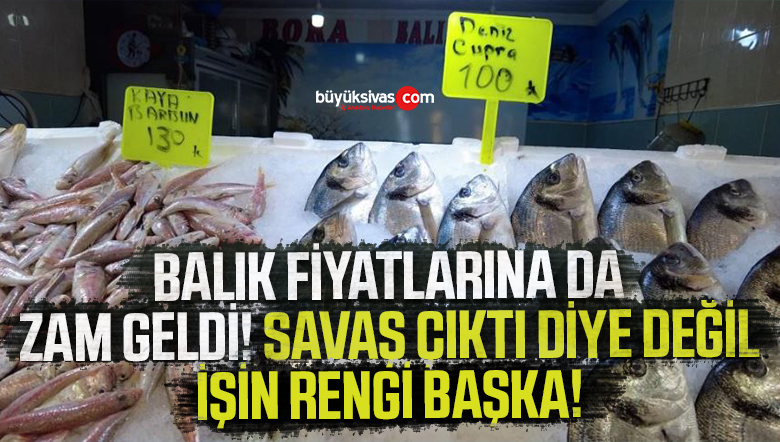 Balık Fiyatlarına da Zam Geldi