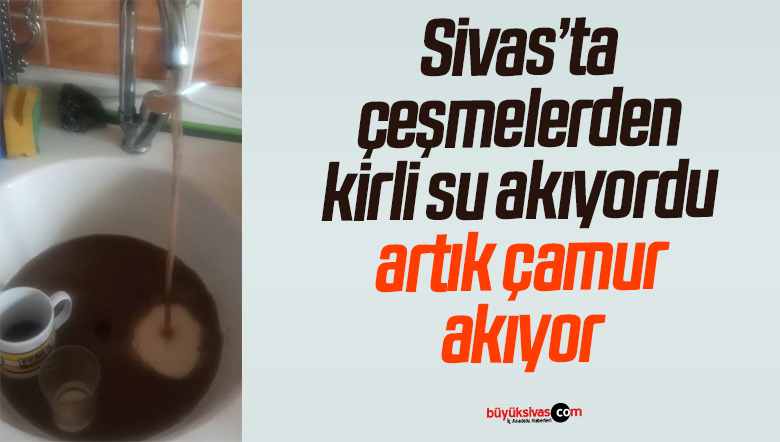 çam