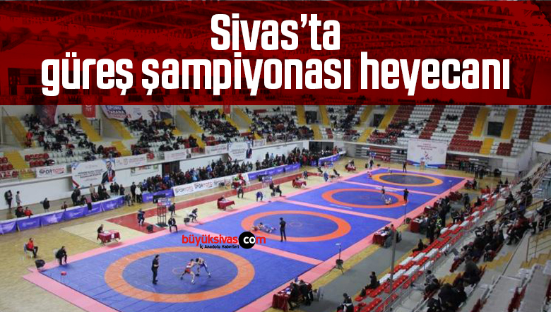 güreş sampiyonası