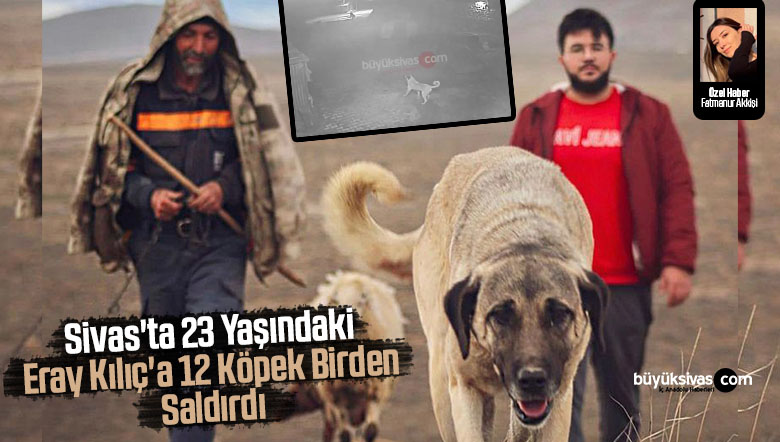 Sivas’ta 23 Yaşındaki Eray Kılıç’a 12 Köpek Birden Saldırdı