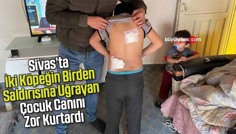 köpeğin saldırısına