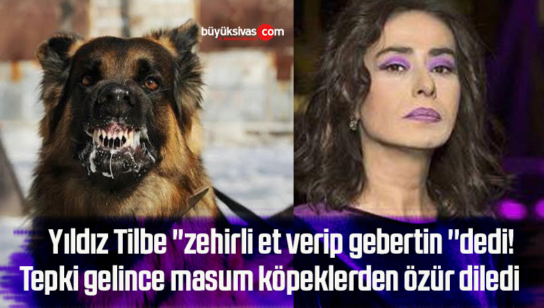 Yıldız Tilbe ”zehirli et verip gebertin ”dedi! Tepki gelince masum köpeklerden özür diledi