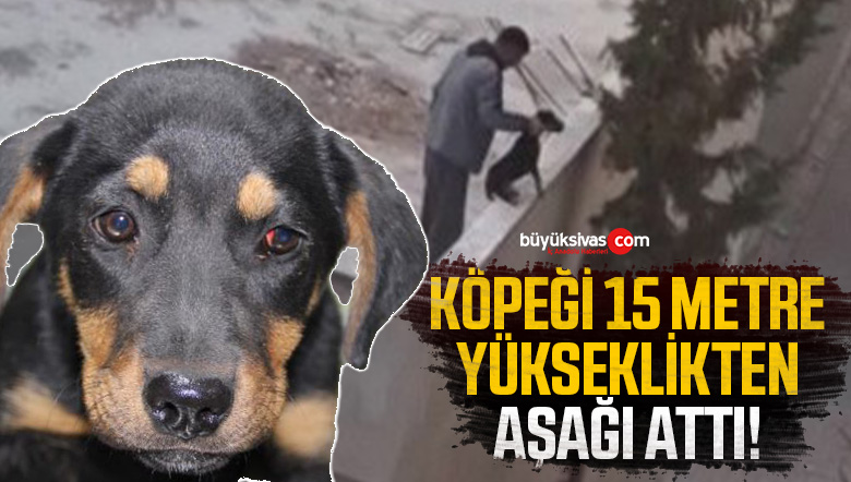 köpek işkence