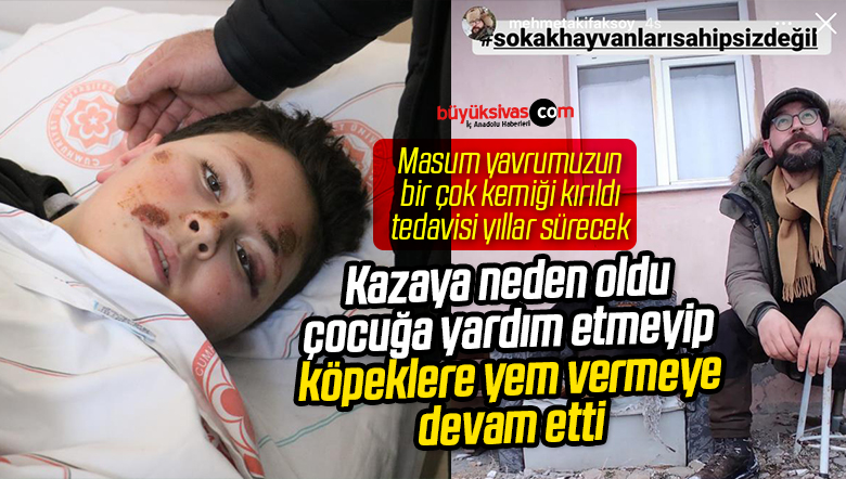 Mehmet Akif Aksoy “Sokak hayvanları sahipsiz değil”