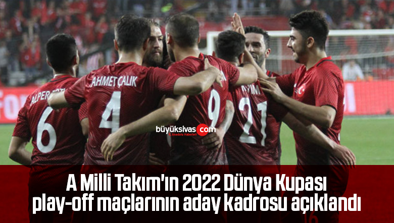 milli takım