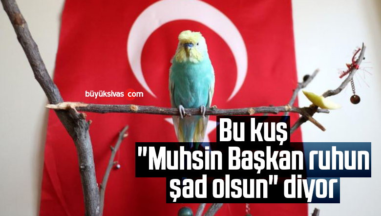 muhsin başkan ruhun şad olsun