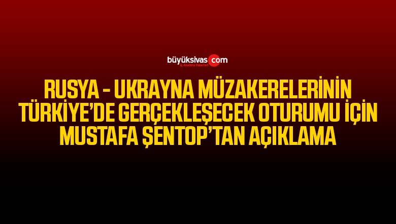 TBMM Başkanı Şentop: “Ateşkesin sağlanması için gayret gösteren tek ülke Türkiye”