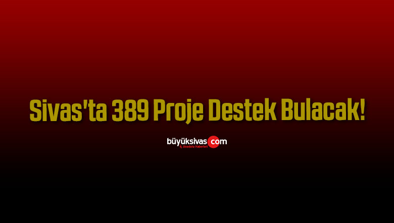 proje destek