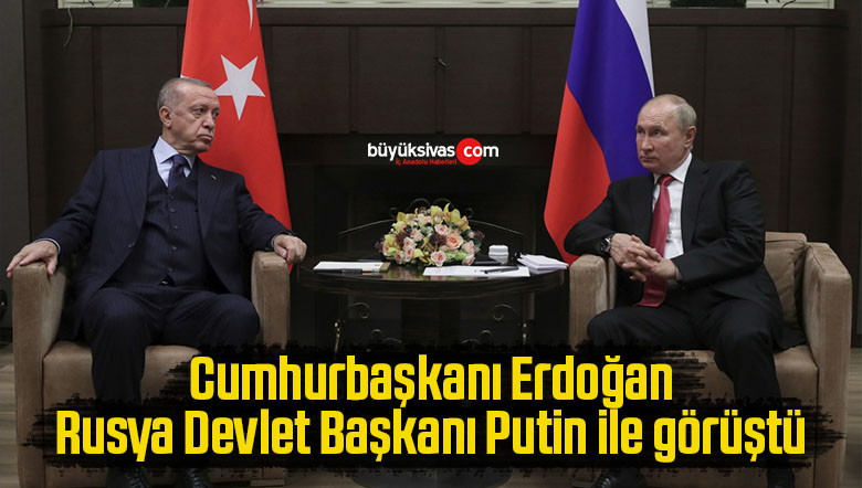Cumhurbaşkanı Erdoğan, Rusya Devlet Başkanı Putin ile görüştü