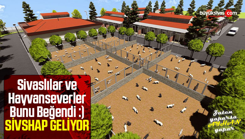 Sivshap Geliyor! Başıboş hayvanlar ve Sivaslılar rahata kavuşacak!